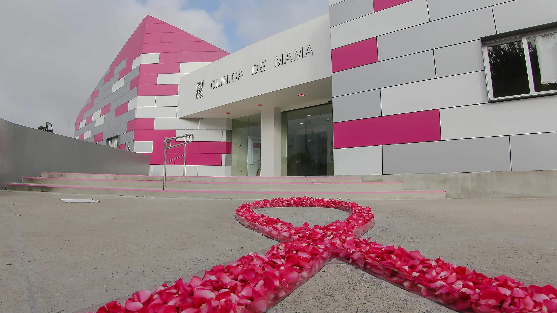 15-10-20-LAZO DE ROSAS EN CLINICA DE MAMA-55